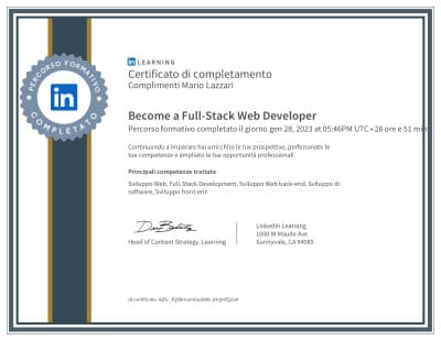 Full stack developer